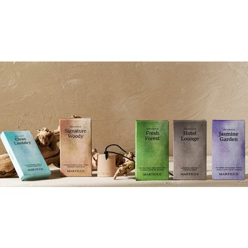 Martigue Car Perfume Terracotta Diffuser, Hotel Lounge, 1 piece